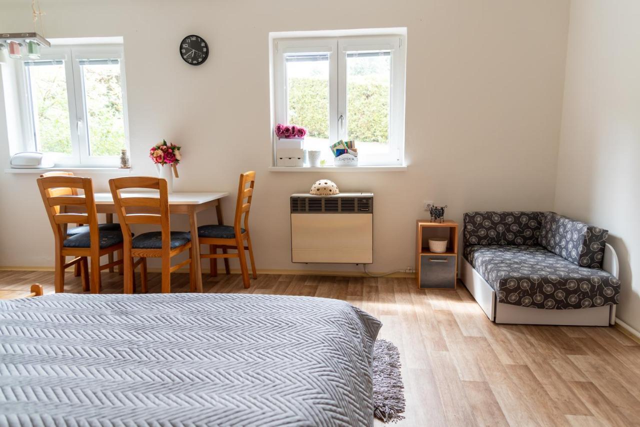 Apartman Fraise Apartment Decin Exterior photo